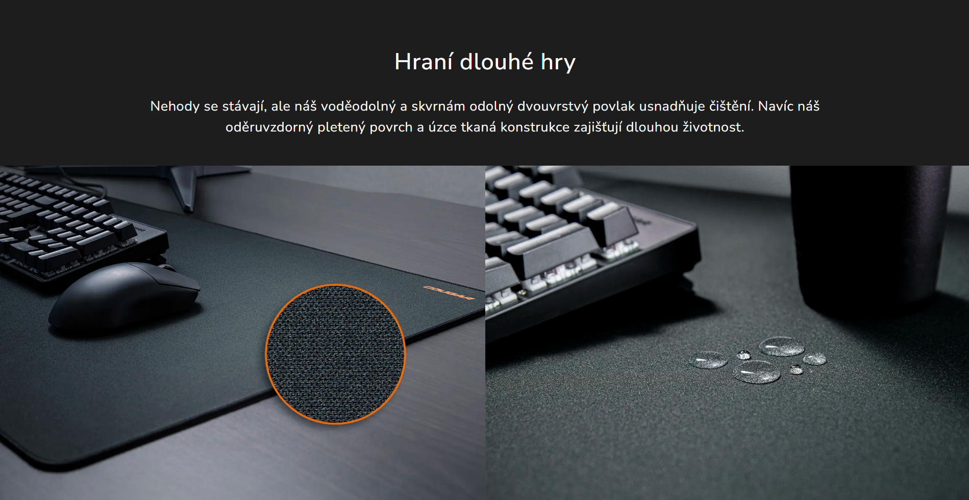 Snímek obrazovky 2026-03-23 122506